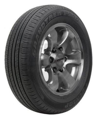 Dunlop GRANDTREK PT30 225/65 R17 102H